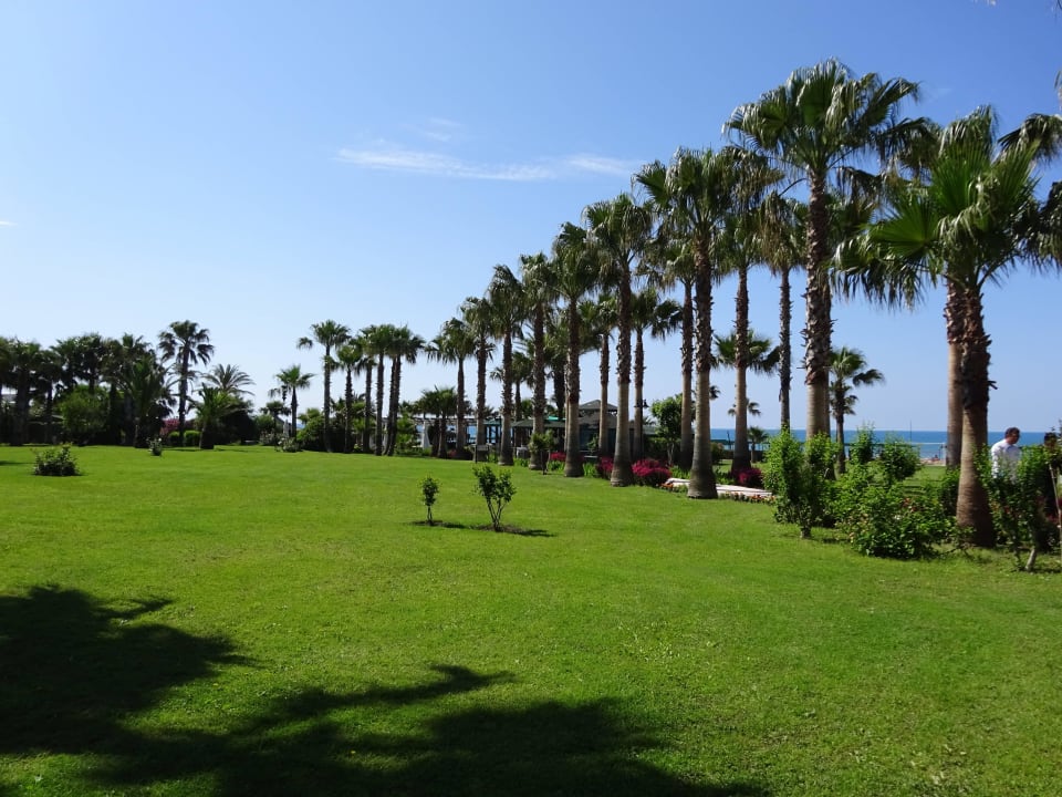Garten mit Weg zum Strand Royal Atlantis Beach Hotel