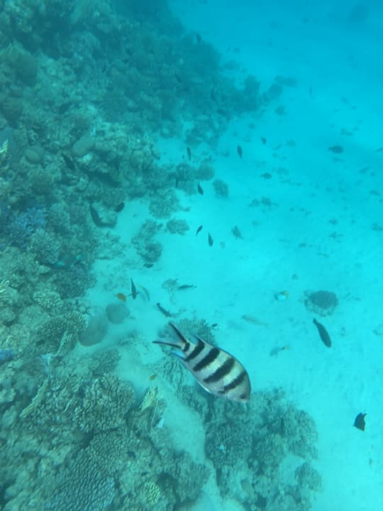 Strand Gravity Hotel & Aquapark Sahl Hasheesh