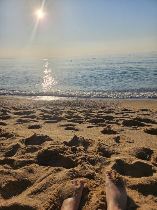 Strand Sentido Marea