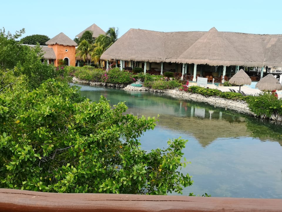 Ausblick TRS Yucatan Hotel - Adults only