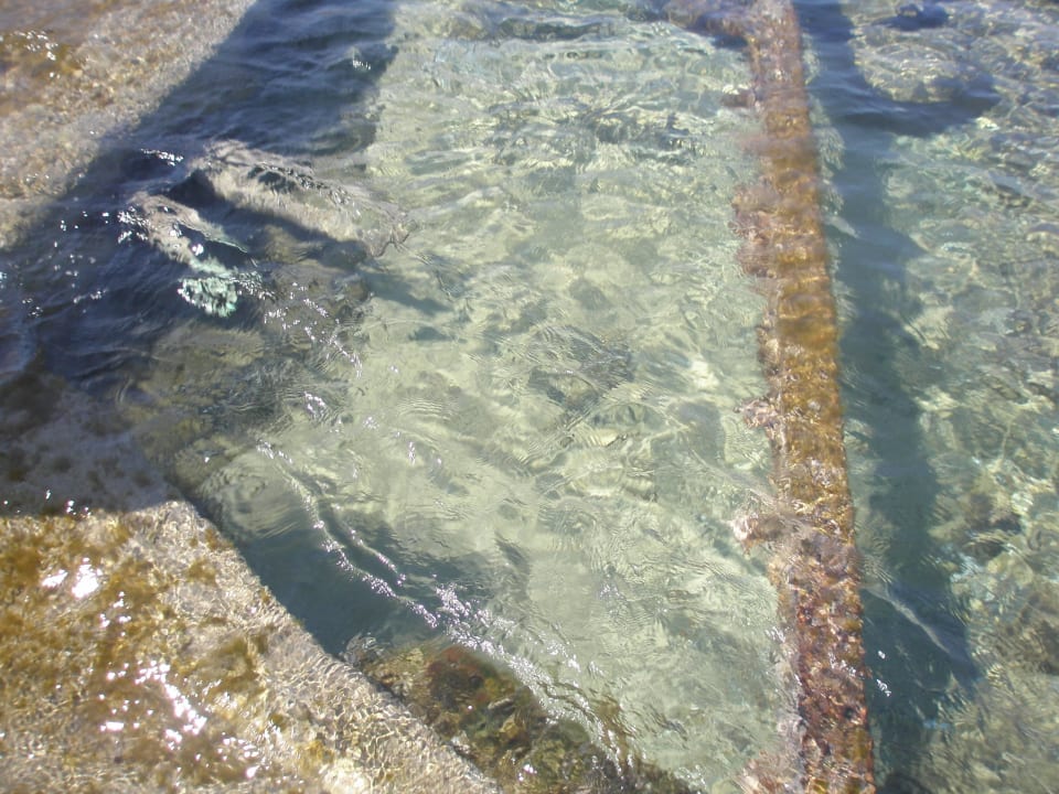 Es gab paar Seeigel im Wasser, Achtung! allsun Hotel Carolina Mare
