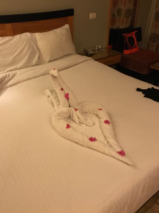 Zimmer Prima Life Makadi Resort