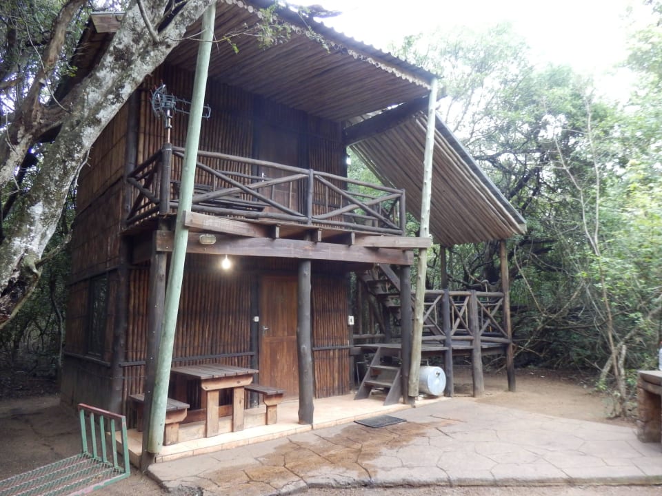 Gallery - Tree House Ezulwini Game Lodge