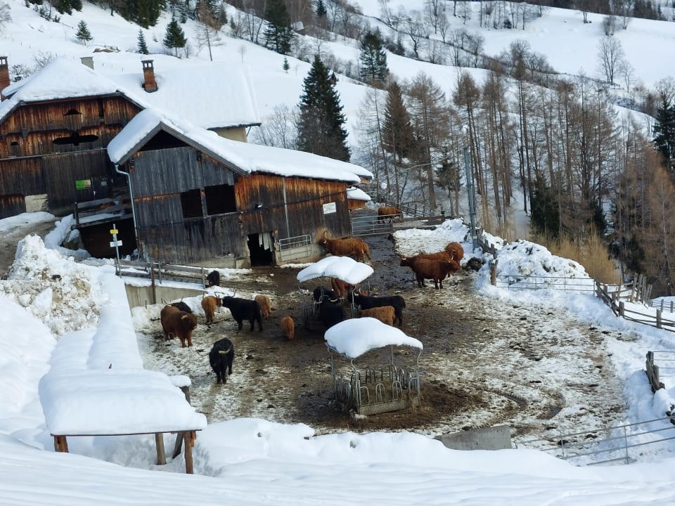 Sonstiges Wellnesshotel Eggerwirt