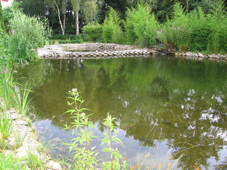 Teich elaya hotel frankfurt oberursel