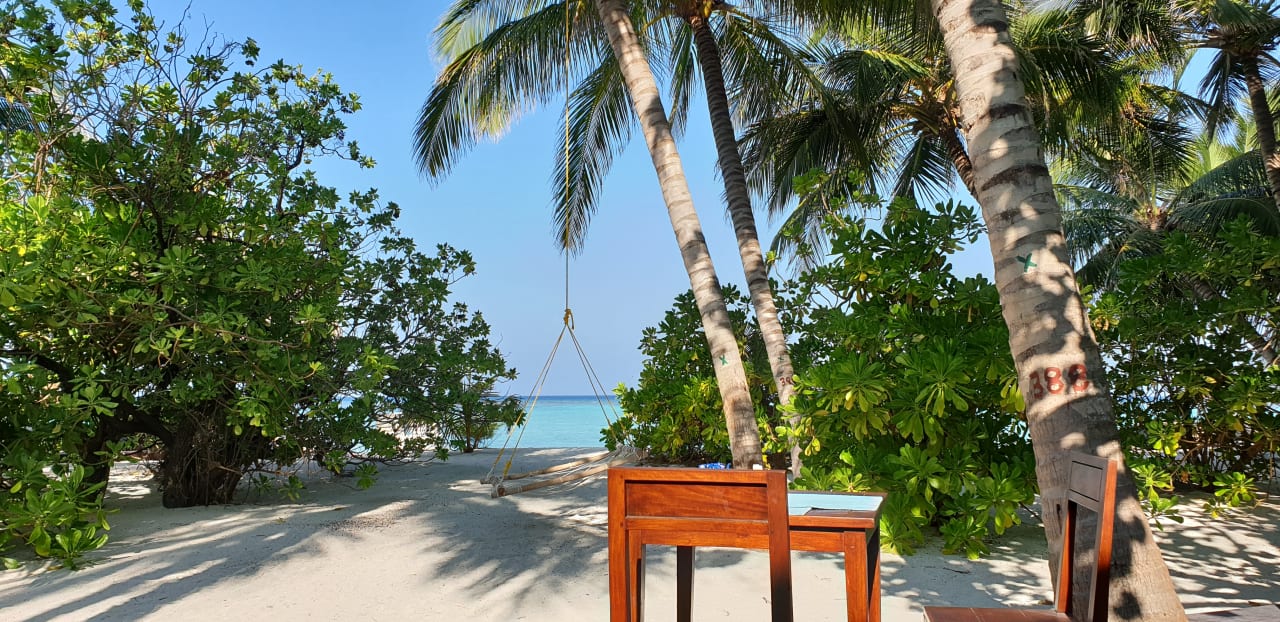 Gastro Summer Island Maldives