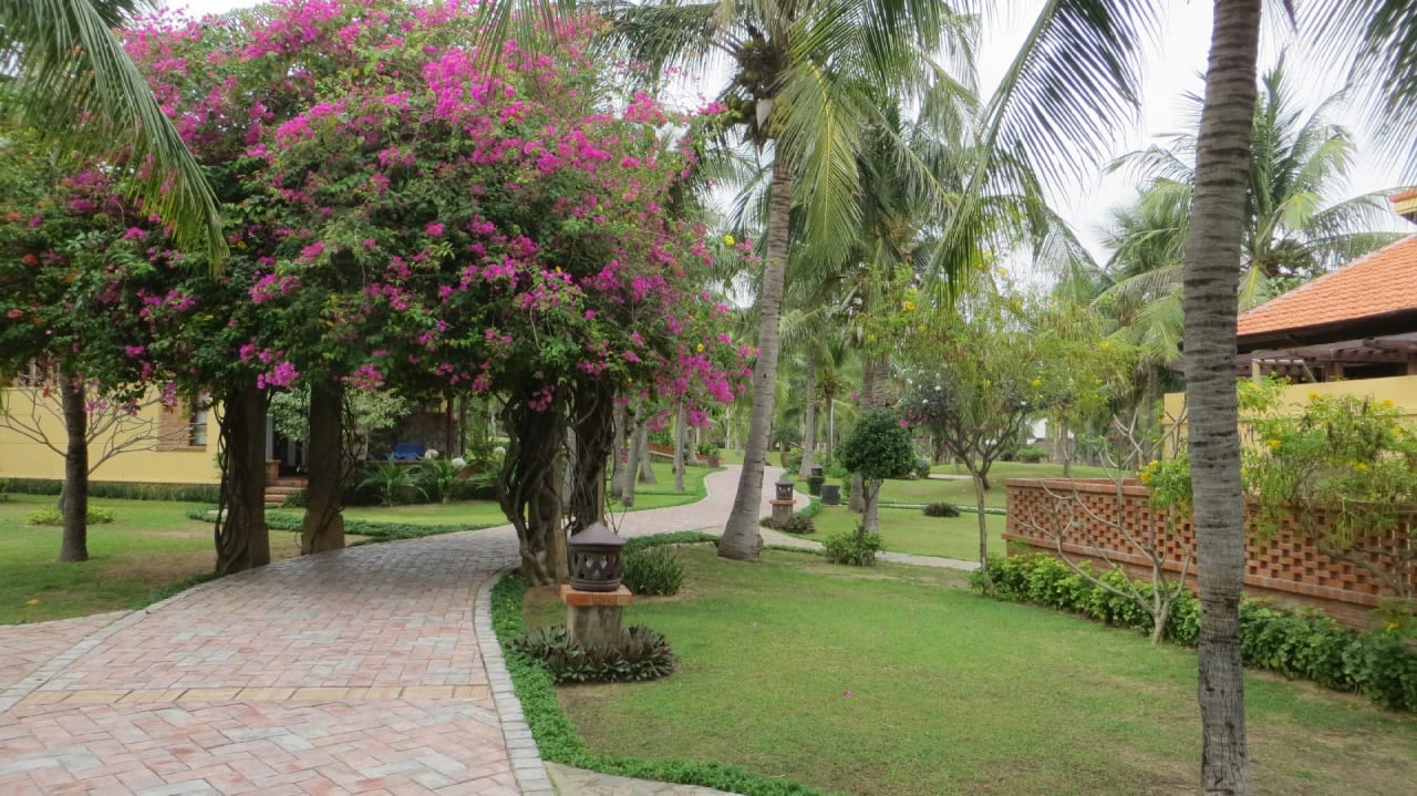 Gartenanlage Pandanus Resort