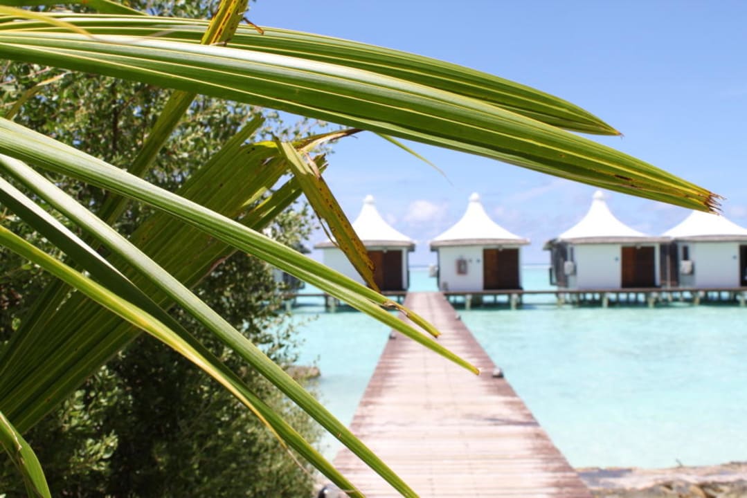 Wasserbungalows Cinnamon Hakuraa Huraa Maldives