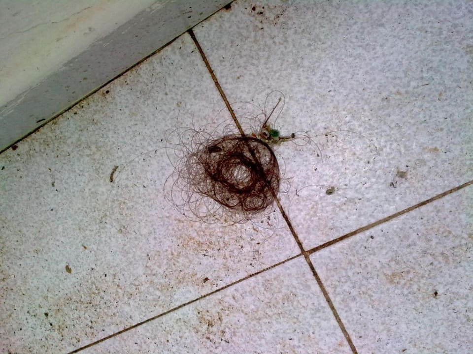 Erstbezug des Hotelzimmers Sentido Fido Punta del Mar – Adults only