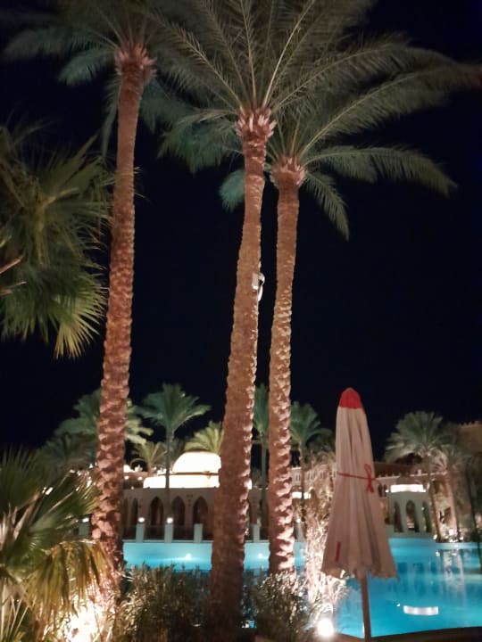 Pool Makadi Palace