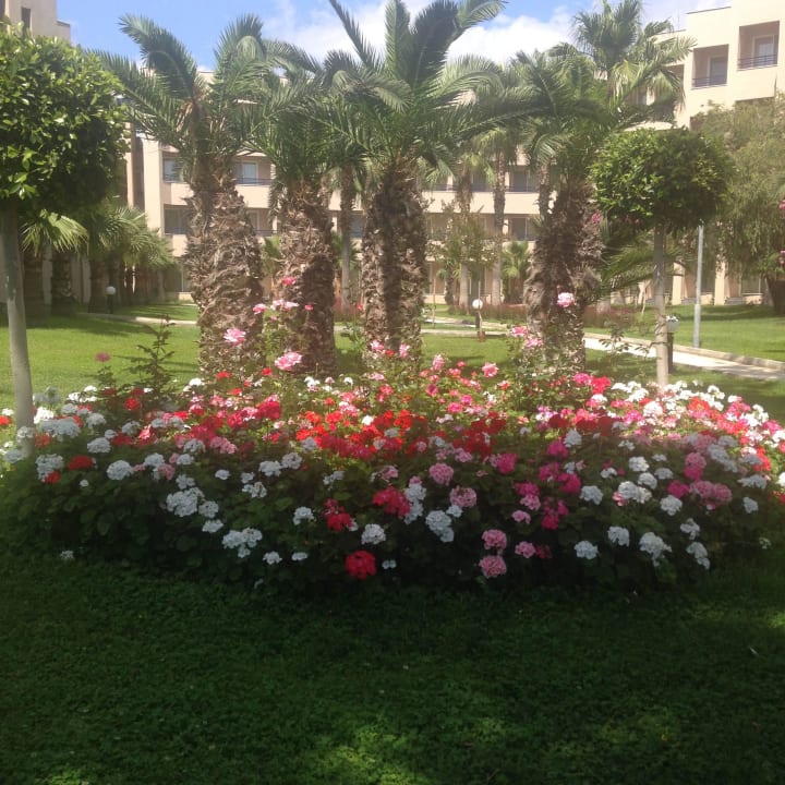 Blütenpracht zwischen den Häusern Labranda Alantur Resort