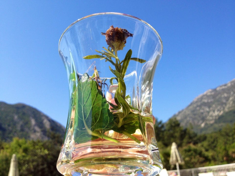 Leckerer Tee auf der Terrasse LYKIA lodge | home of happiness