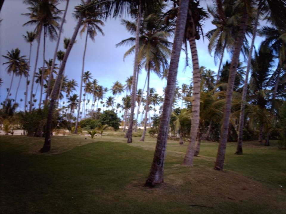 Weg zum Strand  Blick aus dem Zimmerfenster Villas Bavaro Resort & Spa