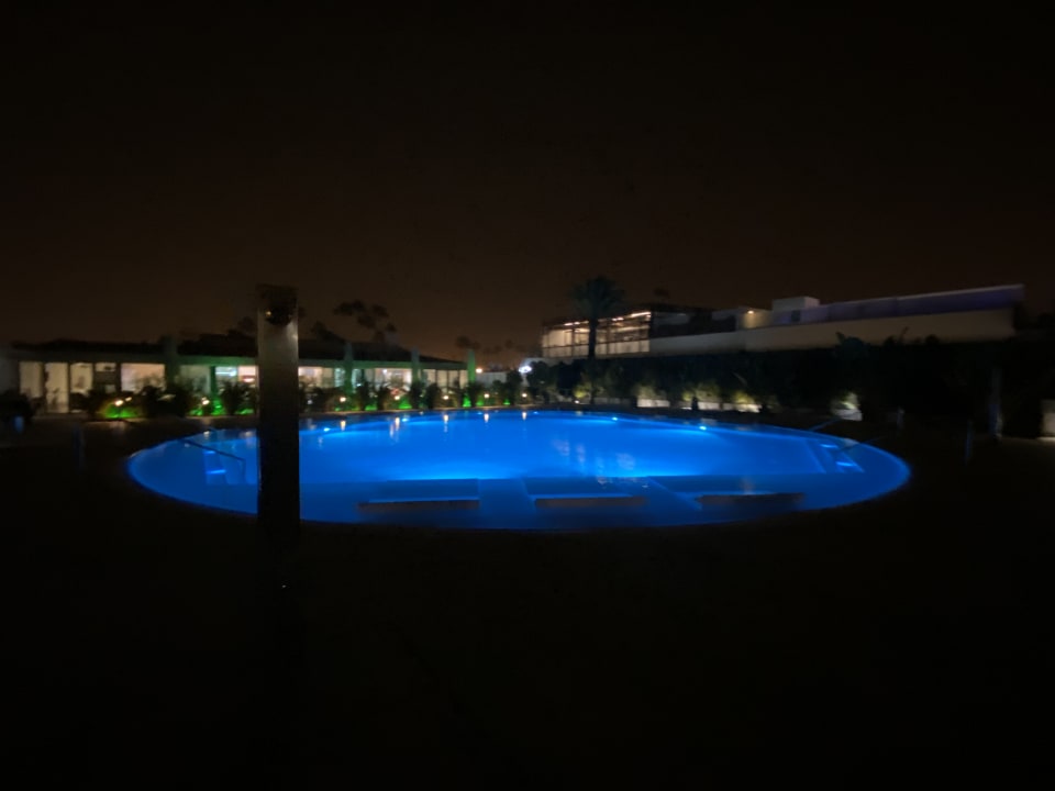 Pool Canary Garden Club