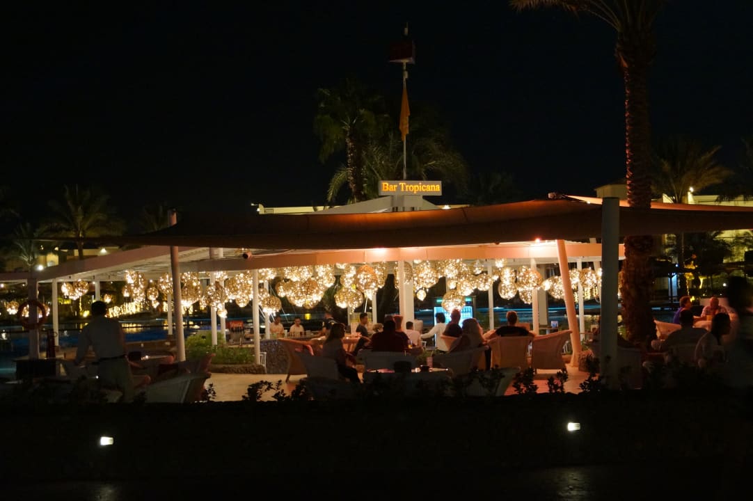 Gartenanlage Desert Rose