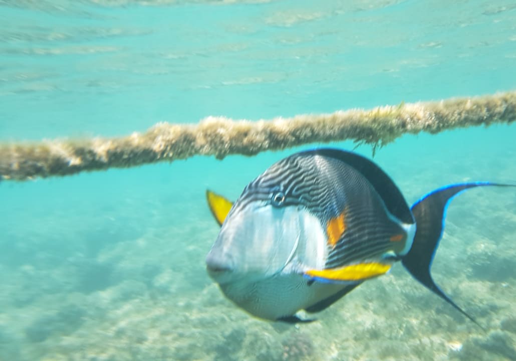 Sport & Freizeit  Brayka Bay Resort