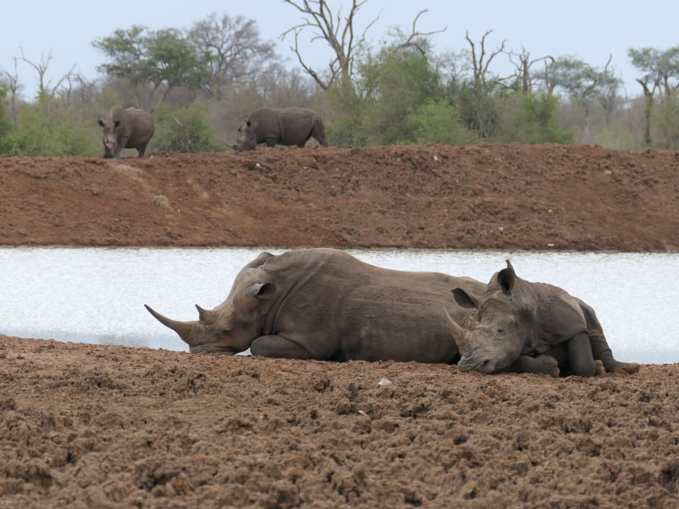 Ausblick Hlane Royal National Park