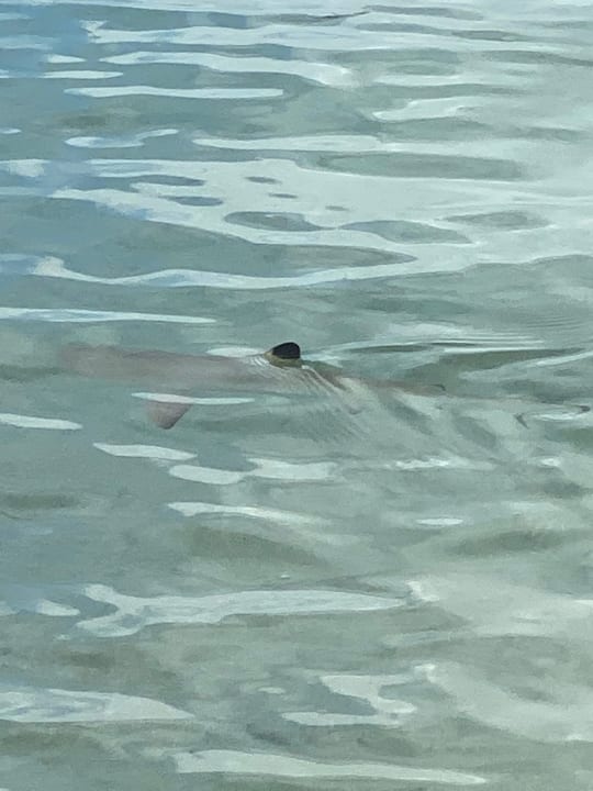 Sonstiges Komandoo Island Resort & Spa - Adults only