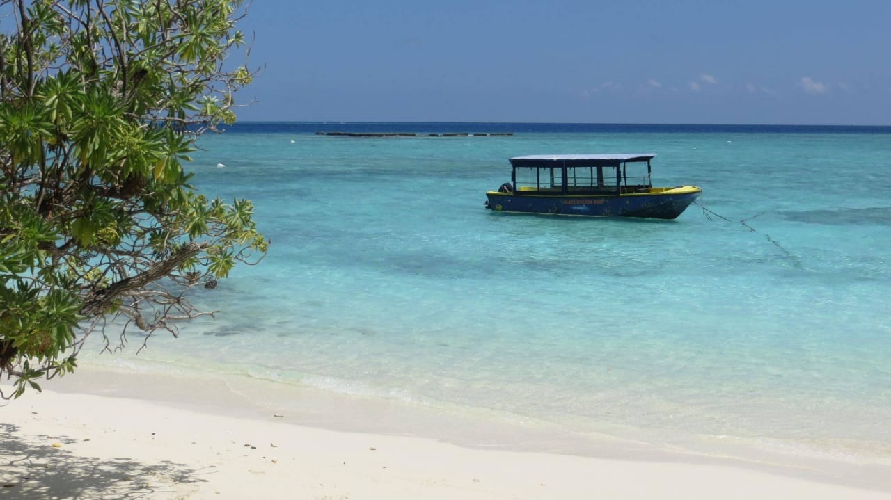 Hotel Fihalhohi Island Resort Fihalhohi Maldives