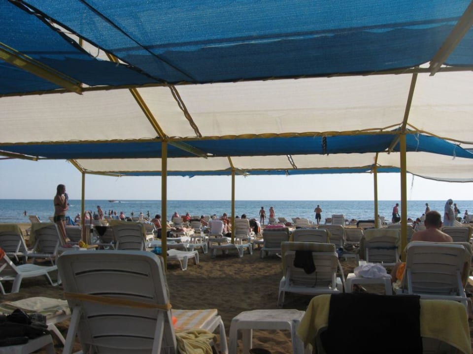 Hoteleigener Strand Hotel Orfeus Park