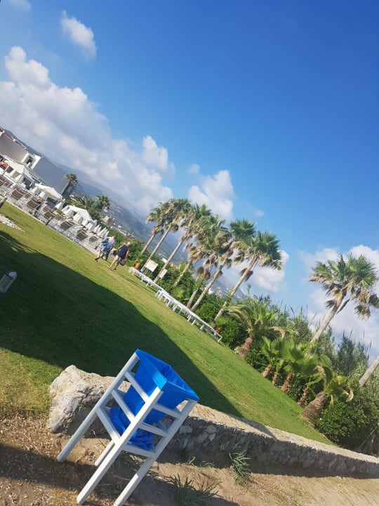 Ausblick Hotel Minos Mare Beach