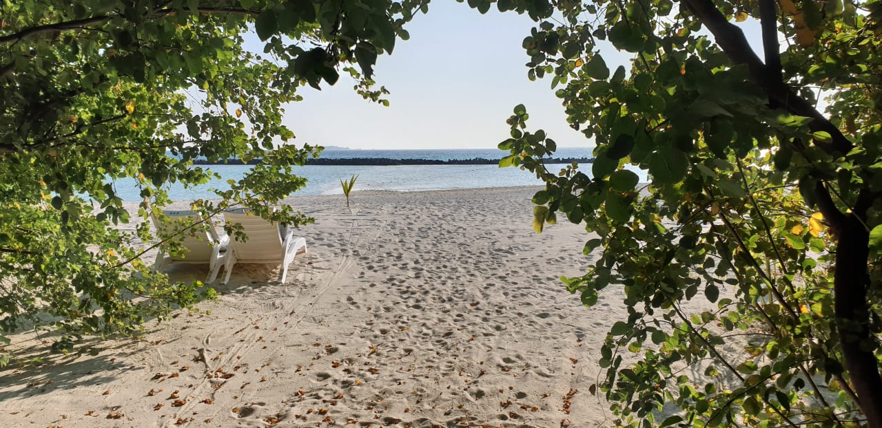 Strand Summer Island Maldives