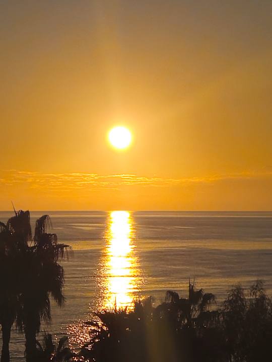 Ausblick PALOMA Perissia