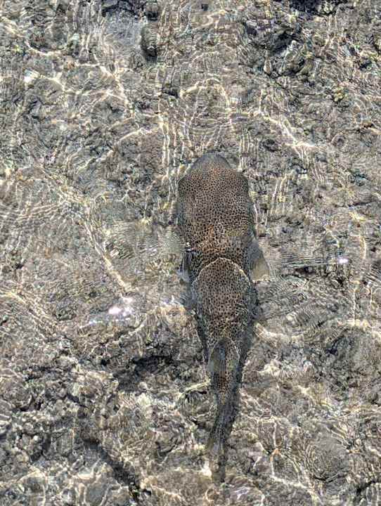 Strand Lazuli Hotel Marsa Alam