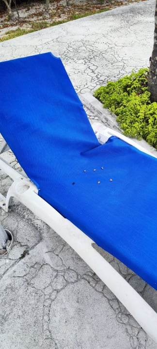 Pool Melia Las Dunas