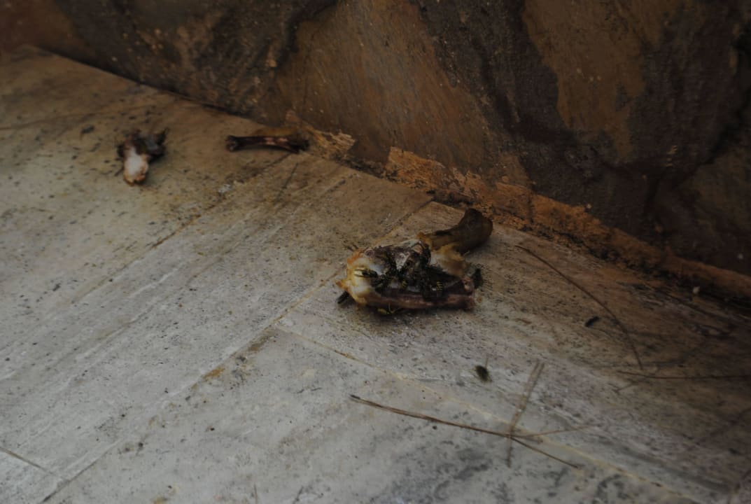 Überall lag Müll, besteck,Becher, Essensreste Grand Yazici Club Marmaris Palace