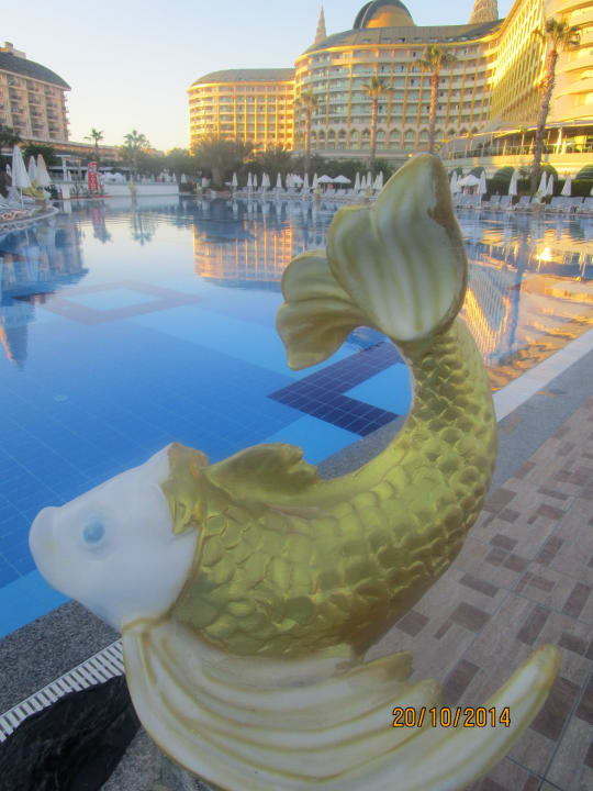 Schöne Abendstimmung am Pool Hotel Delphin Imperial