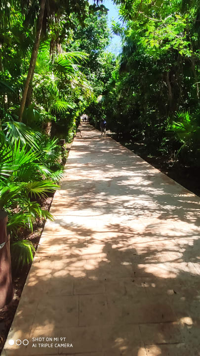 Außenansicht Catalonia Playa Maroma