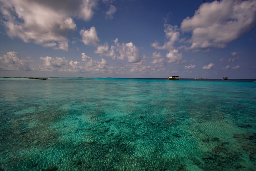Strand Summer Island Maldives