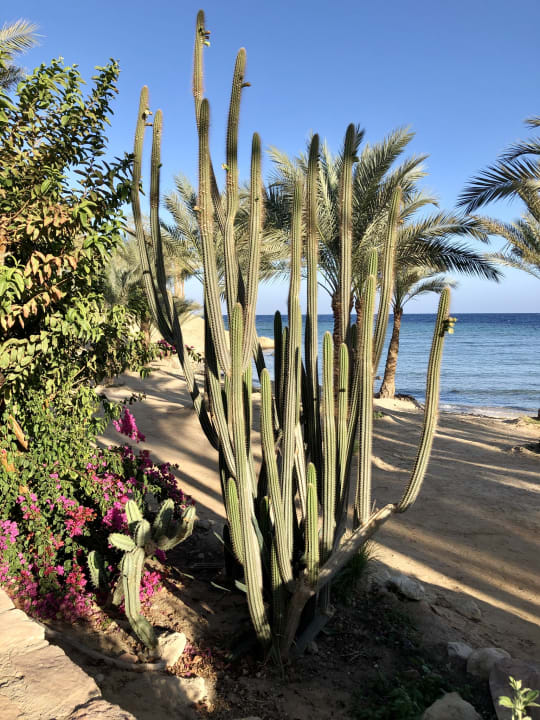 Strand Brayka Bay Resort