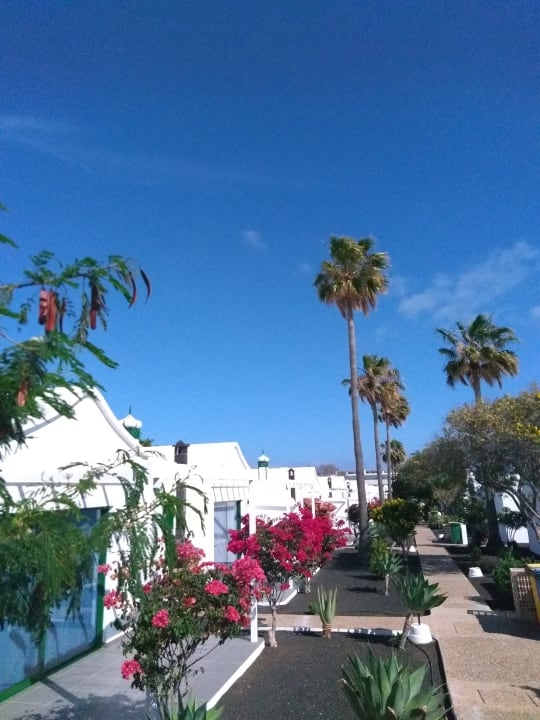 Gartenanlage Hotel Hyde Park Lane