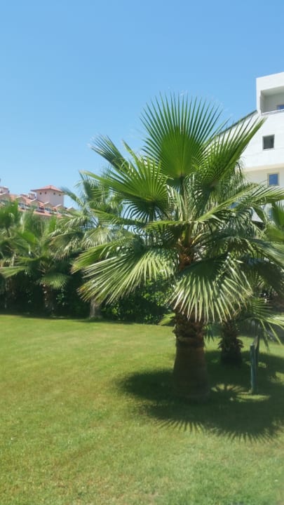 Gartenanlage Side Breeze Hotel