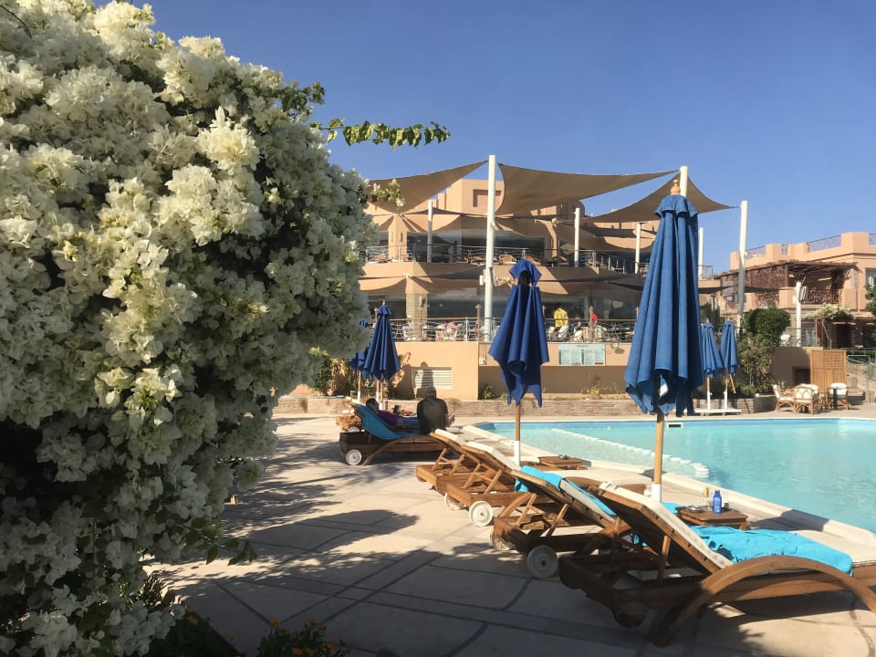 Pool Shams Prestige Abu Soma-Adults Only