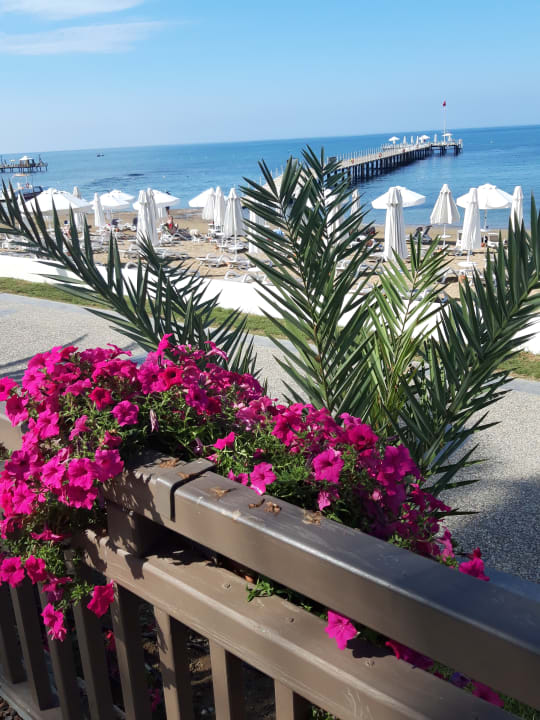 Strand PALOMA Perissia