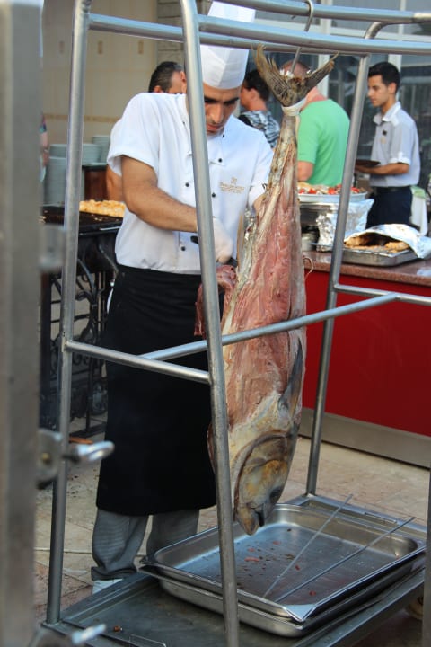 Tunfisch frisch gegrillt Papillon Belvil