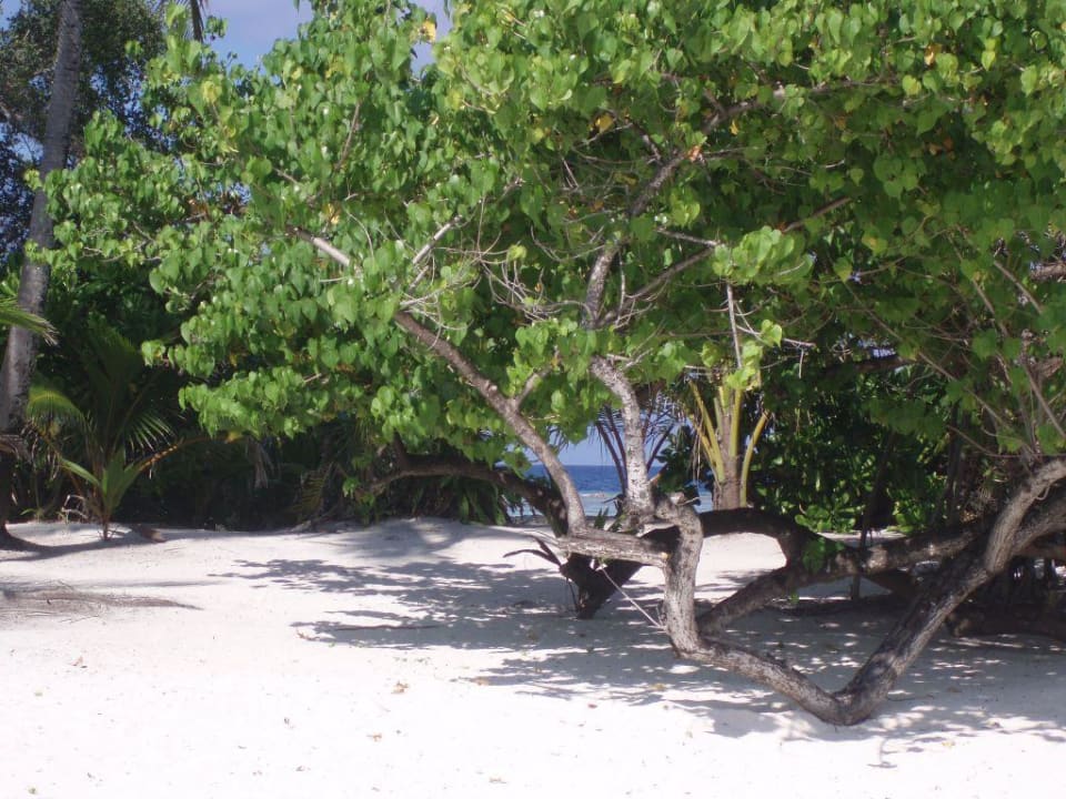 Strand Kuramathi Maldives