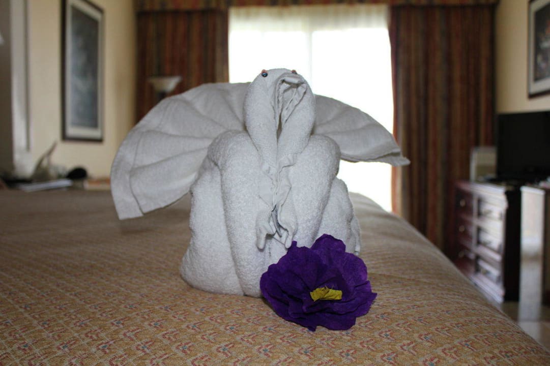 Immer wieder neue Überraschungen Hotel Riu Palace Riviera Maya