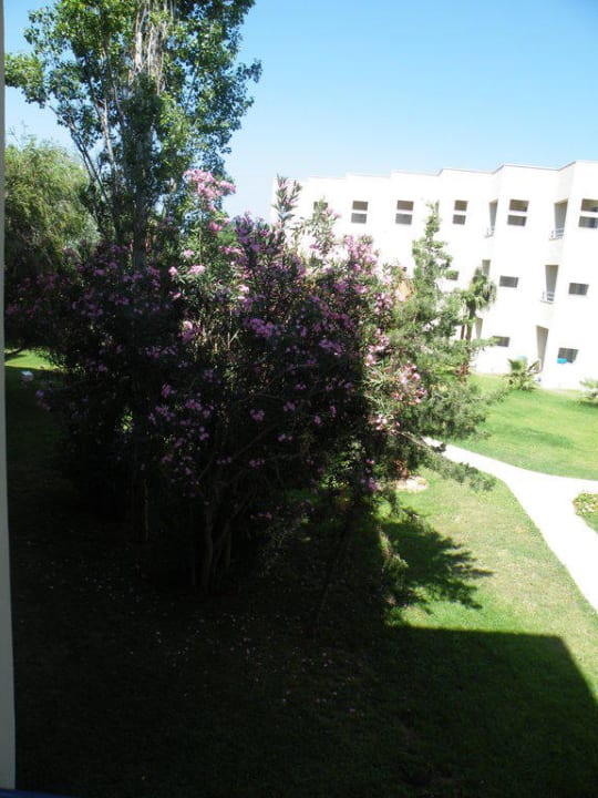 Blick aus dem Zimmer Labranda Alantur Resort