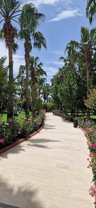 Außenansicht Saphir Resort & Spa