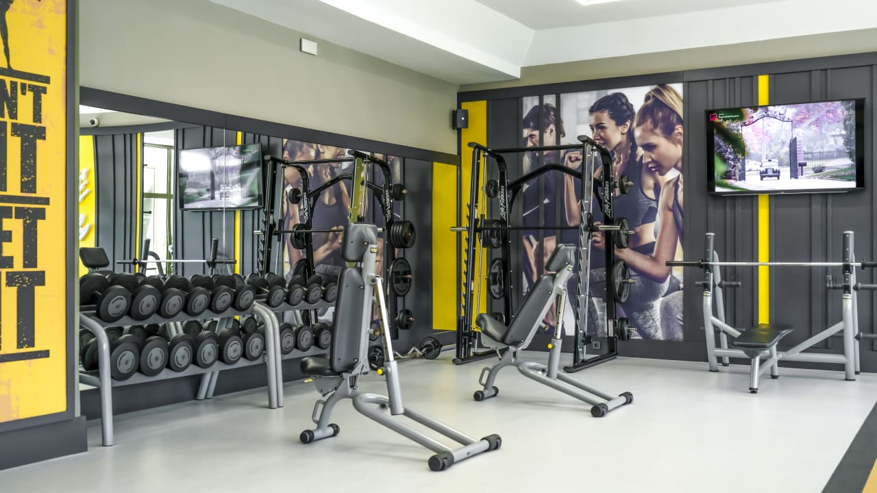 Sport & Freizeit Arum Barut Collection