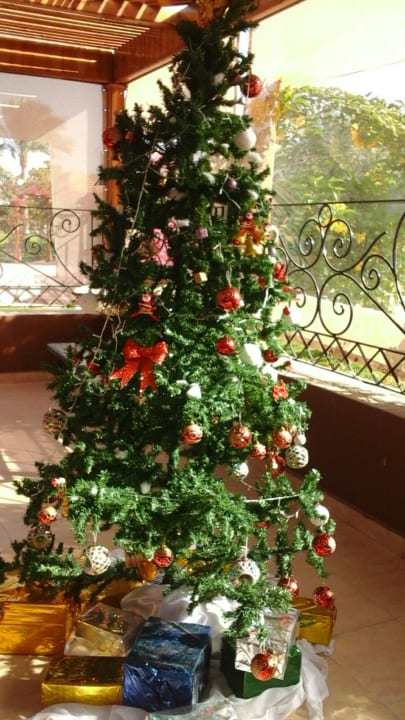 Sonstiges Desert Rose