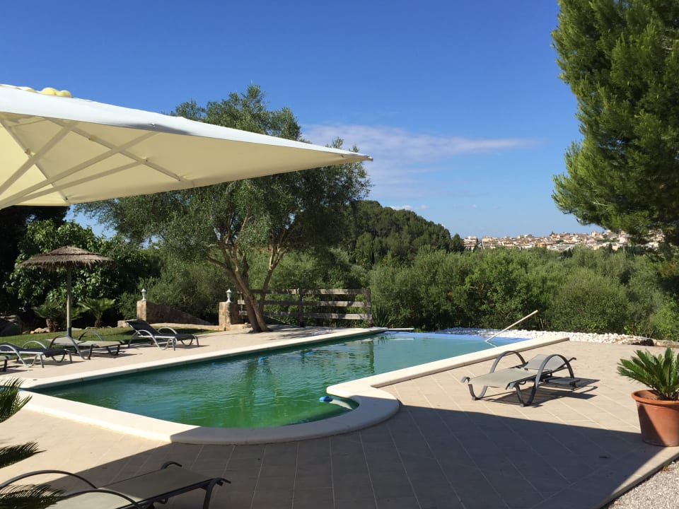 Pool Finca S Olivar d Es Coscois