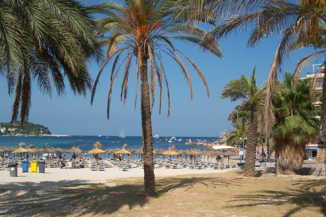 Blick zum Strand in Santa Ponsa Globales Playa Santa Ponsa