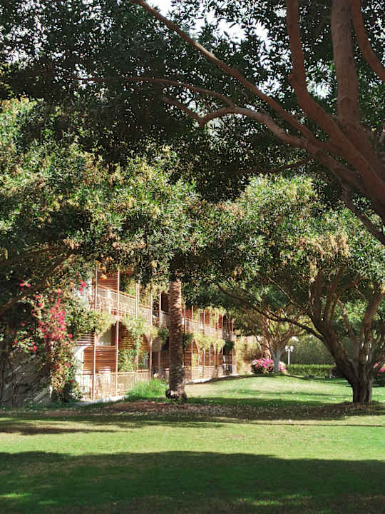 Gartenanlage Desert Rose
