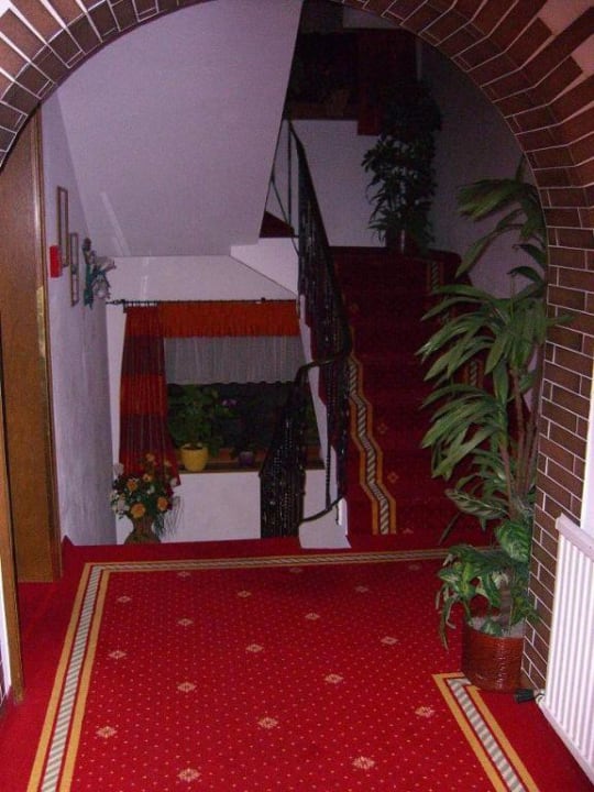 Flur Alpenpension Pfurtscheller