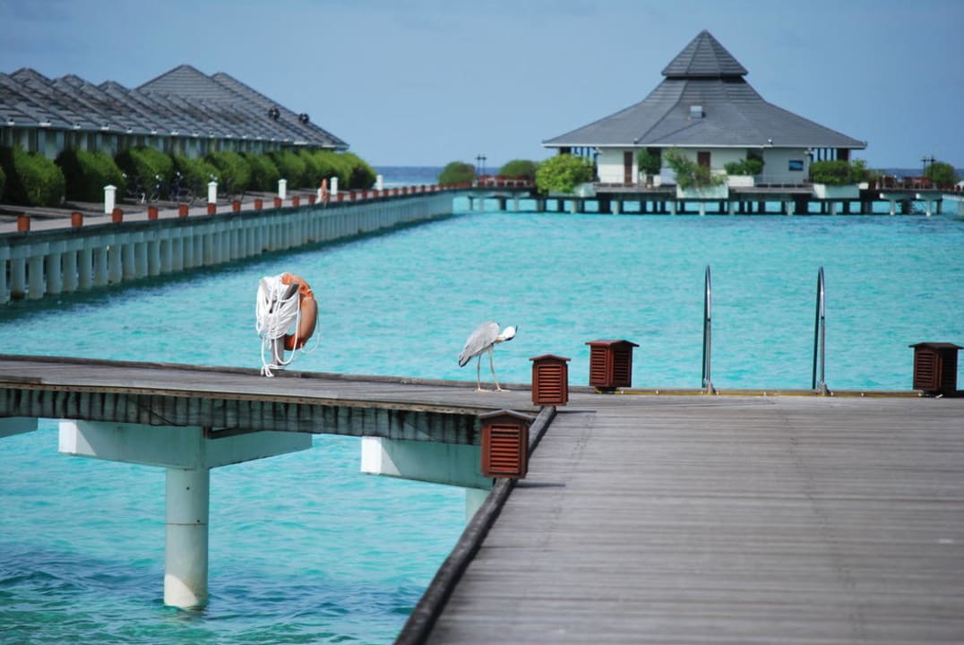 Wasserbungalows und Thai-Restaurant Villa Park Sun Island